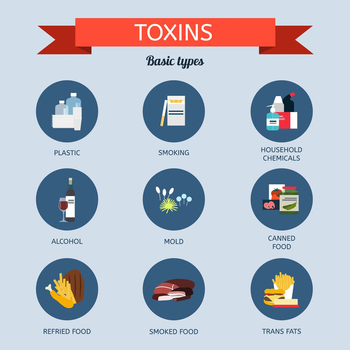 Understanding Harmful Toxins in Our Body