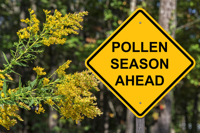 Prepare for Spring Allergies: Common Causes & Ways To Relieve Symptoms
