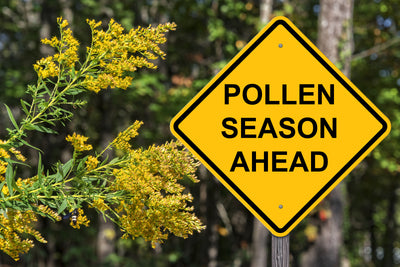 Prepare for Spring Allergies: Common Causes & Ways To Relieve Symptoms