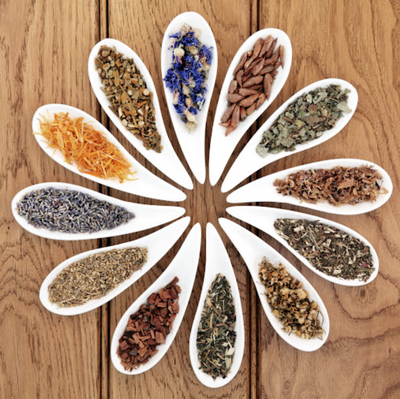 Herbs That Support Lung & Respiratory Health