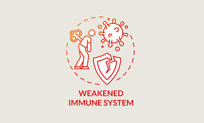 Signs Your Immune System May Be Weakened & How To Support It